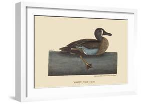 White Face Teal-Mark Catesby-Framed Art Print