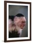 White-Faced Capuchin Snarling-DLILLC-Framed Photographic Print