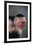 White-Faced Capuchin Snarling-DLILLC-Framed Photographic Print