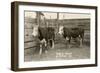 White-Faced Hereford Steer Twins-null-Framed Art Print