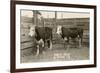 White-Faced Hereford Steer Twins-null-Framed Art Print