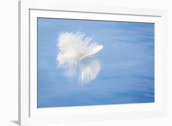 White Feather Reflects on Water, Seabeck, Washington, USA-Jaynes Gallery-Framed Photographic Print