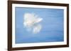 White Feather Reflects on Water, Seabeck, Washington, USA-Jaynes Gallery-Framed Photographic Print
