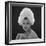 White Feathered Hat, 1960s-John French-Framed Giclee Print