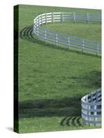 White Fence on Horse Farm, Lexington, Kentucky, USA-Adam Jones-Stretched Canvas