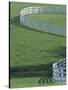 White Fence on Horse Farm, Lexington, Kentucky, USA-Adam Jones-Stretched Canvas