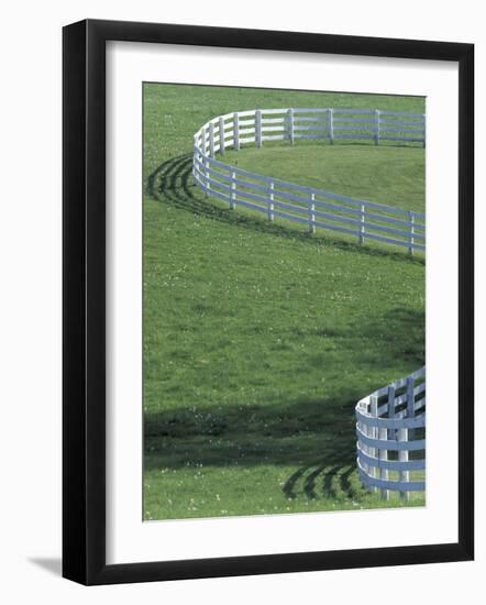 White Fence on Horse Farm, Lexington, Kentucky, USA-Adam Jones-Framed Photographic Print