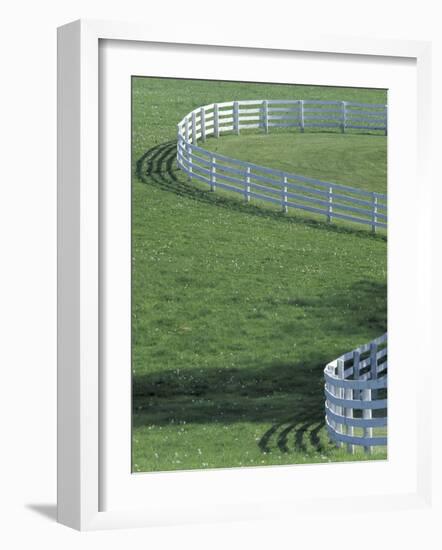 White Fence on Horse Farm, Lexington, Kentucky, USA-Adam Jones-Framed Photographic Print