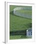 White Fence on Horse Farm, Lexington, Kentucky, USA-Adam Jones-Framed Photographic Print
