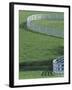 White Fence on Horse Farm, Lexington, Kentucky, USA-Adam Jones-Framed Photographic Print