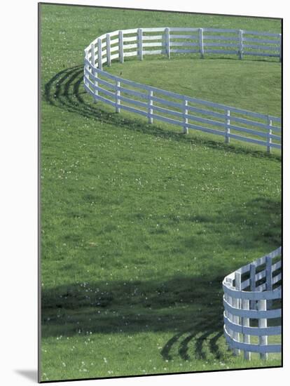 White Fence on Horse Farm, Lexington, Kentucky, USA-Adam Jones-Mounted Photographic Print
