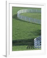 White Fence on Horse Farm, Lexington, Kentucky, USA-Adam Jones-Framed Photographic Print