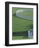 White Fence on Horse Farm, Lexington, Kentucky, USA-Adam Jones-Framed Photographic Print