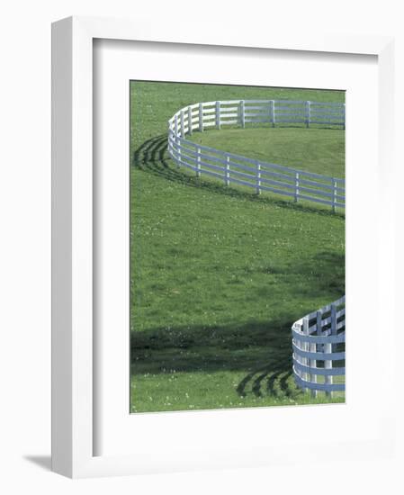 White Fence on Horse Farm, Lexington, Kentucky, USA-Adam Jones-Framed Photographic Print