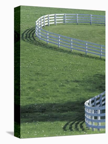 White Fence on Horse Farm, Lexington, Kentucky, USA-Adam Jones-Stretched Canvas