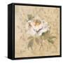 White Floral II-Cheri Blum-Framed Stretched Canvas