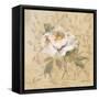 White Floral II-Cheri Blum-Framed Stretched Canvas