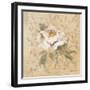 White Floral II-Cheri Blum-Framed Art Print