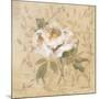 White Floral II-Cheri Blum-Mounted Art Print
