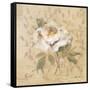 White Floral II-Cheri Blum-Framed Stretched Canvas