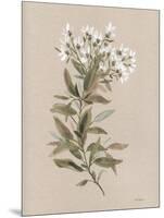 White Floral Stem I-Carol Robinson-Mounted Art Print