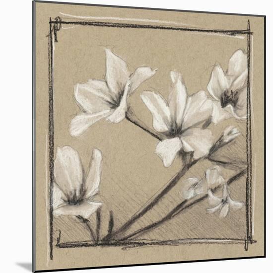 White Floral Study I-Ethan Harper-Mounted Art Print