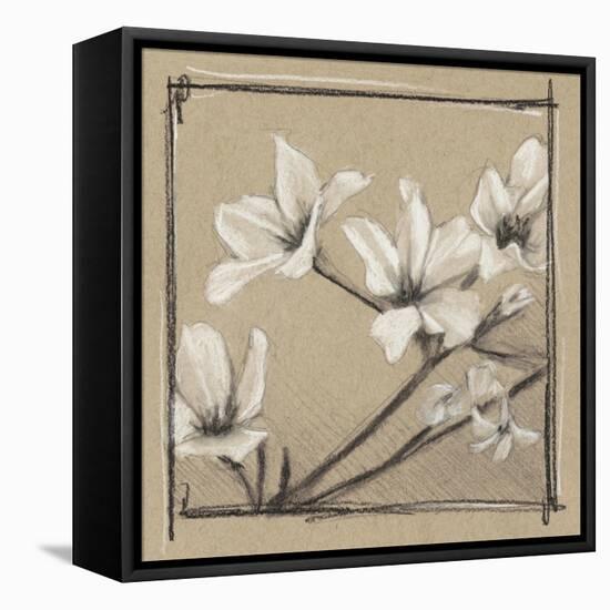 White Floral Study I-Ethan Harper-Framed Stretched Canvas