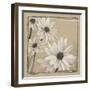 White Floral Study II-Ethan Harper-Framed Art Print