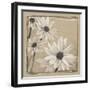 White Floral Study II-Ethan Harper-Framed Art Print