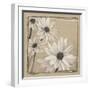 White Floral Study II-Ethan Harper-Framed Art Print