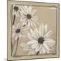 White Floral Study II-Ethan Harper-Mounted Art Print