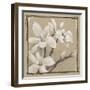 White Floral Study III-Ethan Harper-Framed Art Print