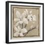 White Floral Study III-Ethan Harper-Framed Art Print