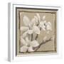 White Floral Study III-Ethan Harper-Framed Art Print