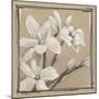 White Floral Study III-Ethan Harper-Mounted Art Print