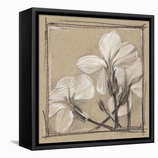 White Floral Study IV-Ethan Harper-Framed Stretched Canvas