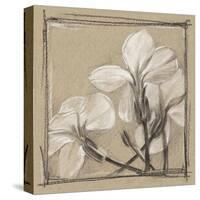 White Floral Study IV-Ethan Harper-Stretched Canvas