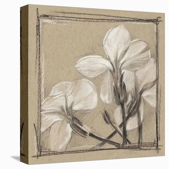 White Floral Study IV-Ethan Harper-Stretched Canvas