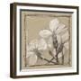 White Floral Study IV-Ethan Harper-Framed Art Print