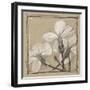 White Floral Study IV-Ethan Harper-Framed Art Print