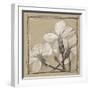 White Floral Study IV-Ethan Harper-Framed Art Print