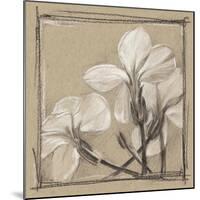 White Floral Study IV-Ethan Harper-Mounted Art Print