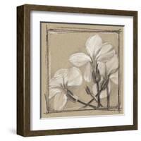 White Floral Study IV-Ethan Harper-Framed Art Print