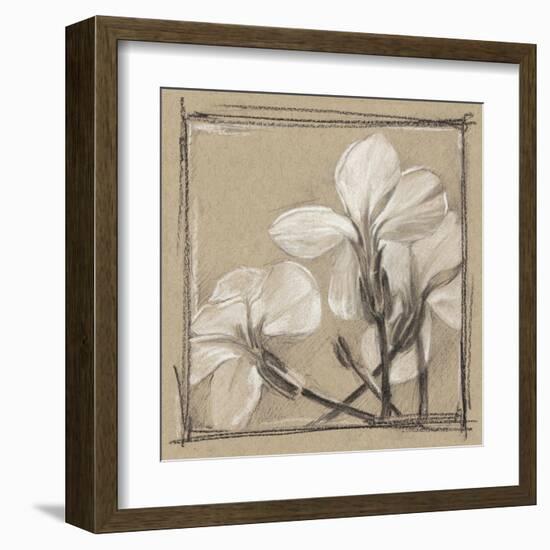 White Floral Study IV-Ethan Harper-Framed Art Print