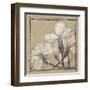 White Floral Study IV-Ethan Harper-Framed Art Print