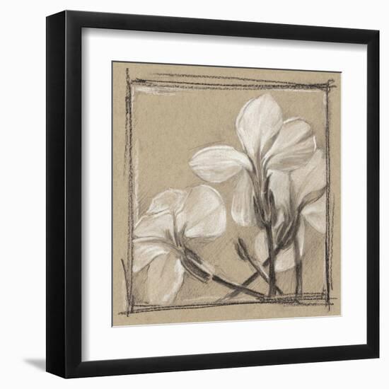 White Floral Study IV-Ethan Harper-Framed Art Print