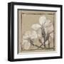 White Floral Study IV-Ethan Harper-Framed Art Print