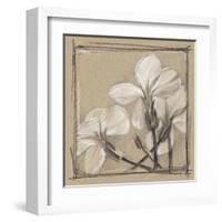 White Floral Study IV-Ethan Harper-Framed Art Print