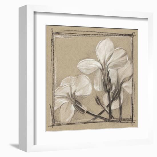 White Floral Study IV-Ethan Harper-Framed Art Print