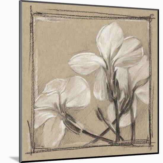 White Floral Study IV-Ethan Harper-Mounted Art Print